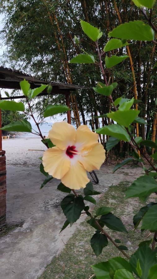 Casa Do Sergio Lindo Loft Ideal Para Casa E Pequena Familia,Moderno E Confortavel Paraty Ngoại thất bức ảnh